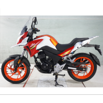 Fenghao 200_9 Chevalier...