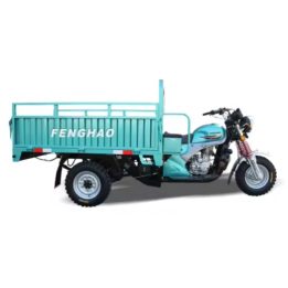 TRICYCLE FENGHAO FH175