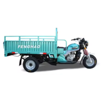 TRICYCLE FENGHAO FH175