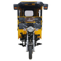 FENGHAO TRICYCLE SALONI