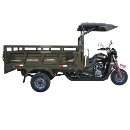 Cargo Tricycle QS150ZH-250
