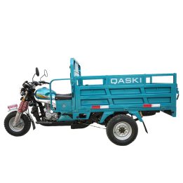 Cargo Tricycle QS150ZH-175