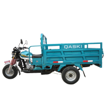 Cargo Tricycle QS150ZH-175