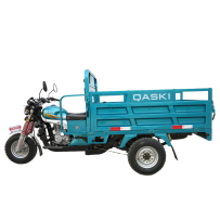 Cargo Tricycle QS150ZH-175