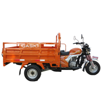 Cargo Tricycle QS150ZH-175