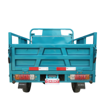 Cargo Tricycle QS150ZH-175