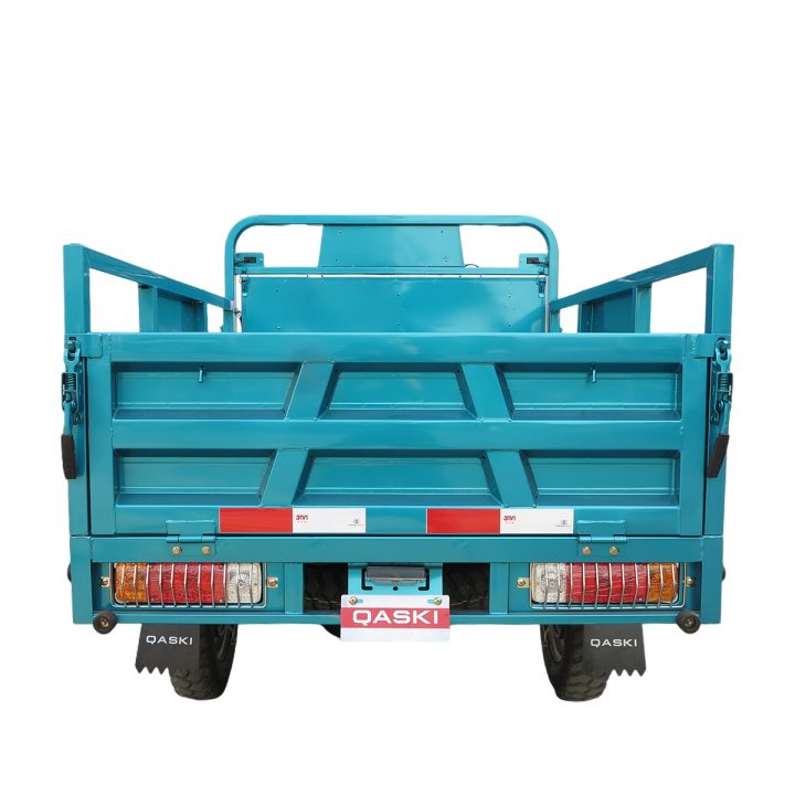 Cargo Tricycle QS150ZH-175