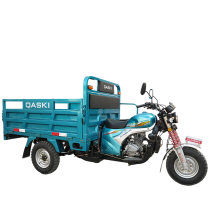 Cargo Tricycle QS150ZH-175