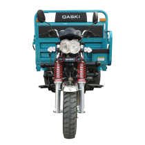 Cargo Tricycle QS150ZH-175
