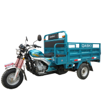 Cargo Tricycle QS150ZH-175