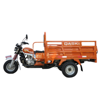 Cargo Tricycle QS150ZH-175