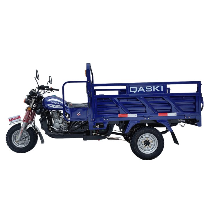 TRICYCLE DFK QS150ZH