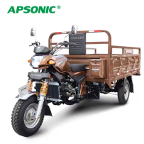 Tricycle APSONIC CARGO 200...
