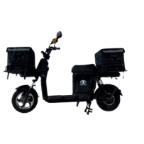 Scooter Électrique de...