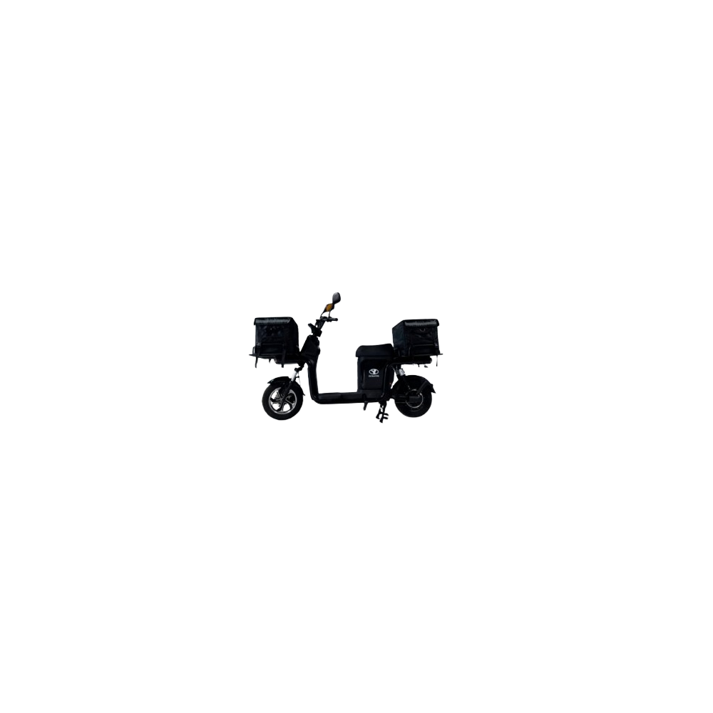 Scooter Électrique de Livraison RYMCO KY 800