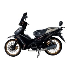 Moto RYMCO REVO 110
