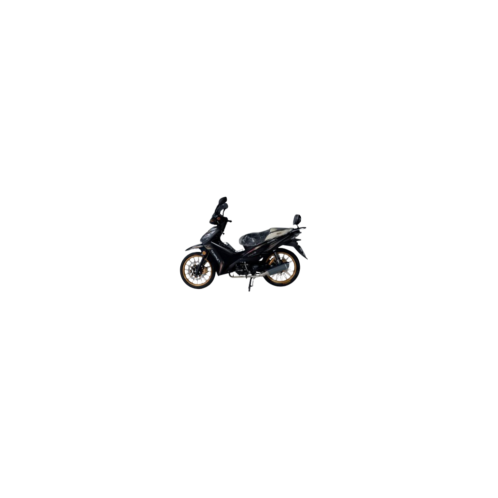 Moto RYMCO REVO 110