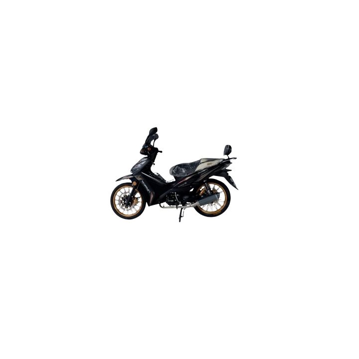 Moto RYMCO REVO 110