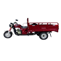 Tricycle Utilitaire RYMCO RMC200 ZSM 197 cc