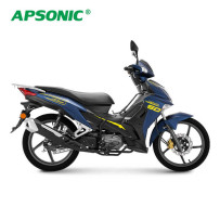 Apsonic Jaguar 110